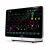 Монитор пациента Biolight AnyView P18